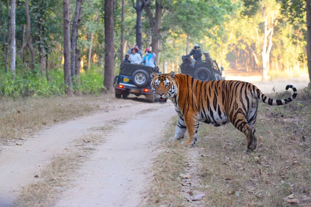 Mukki Zone landscape in Kanha National Park
