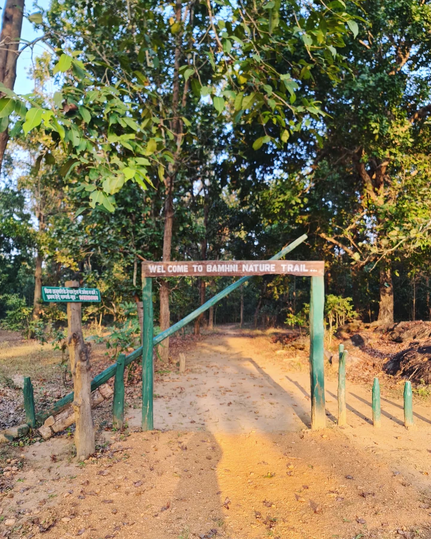 Guided nature walk in the Kanha forest