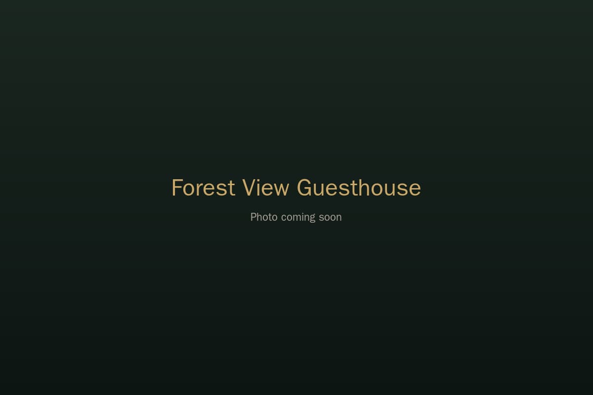 Forest View Guesthouse