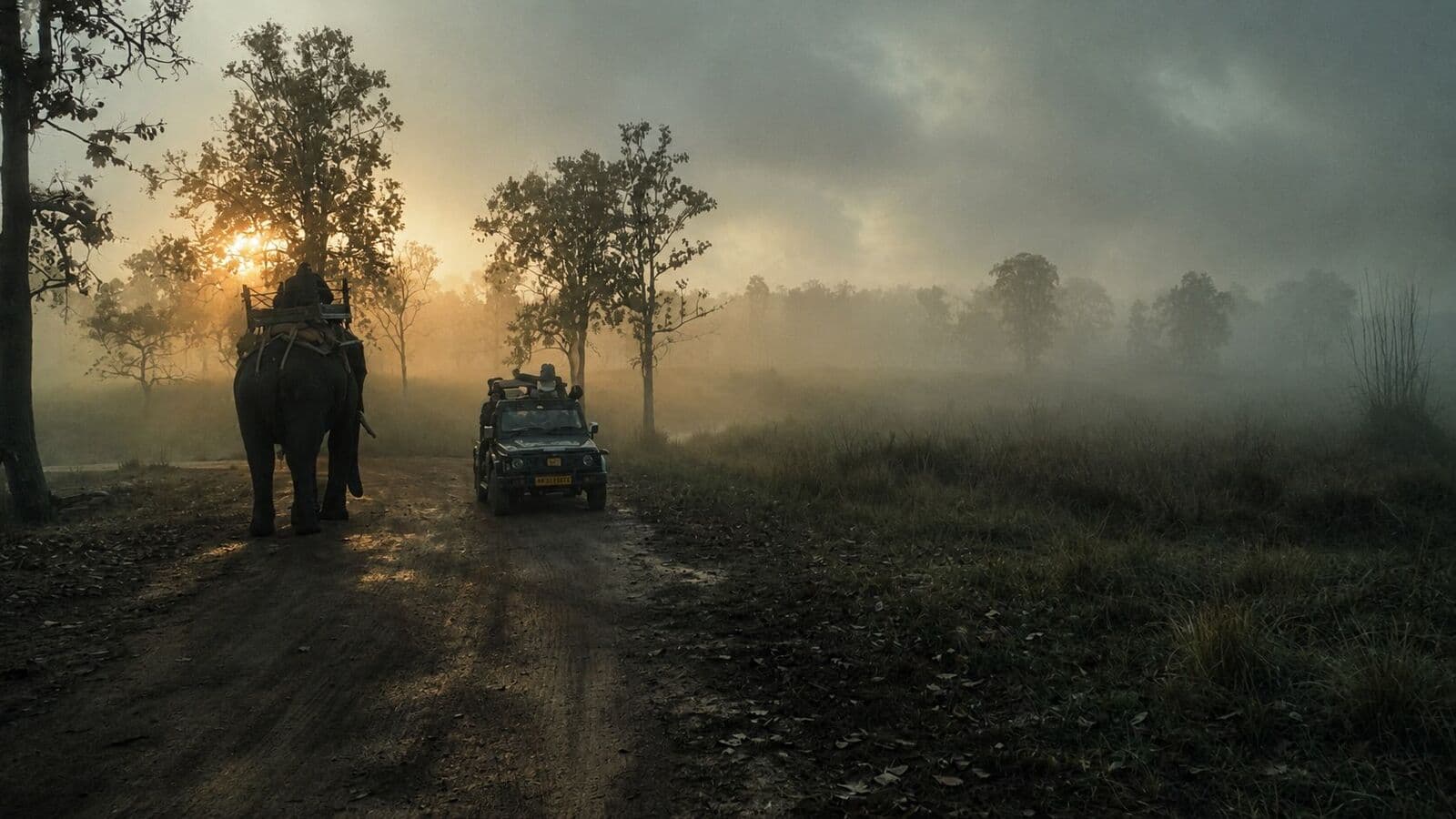 Khatia Buffer Zone in Kanha Tiger Reserve