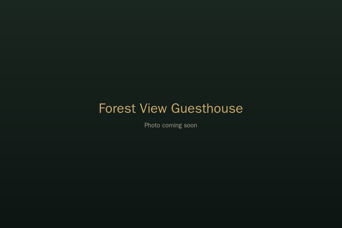 Forest View Guesthouse — photo 1