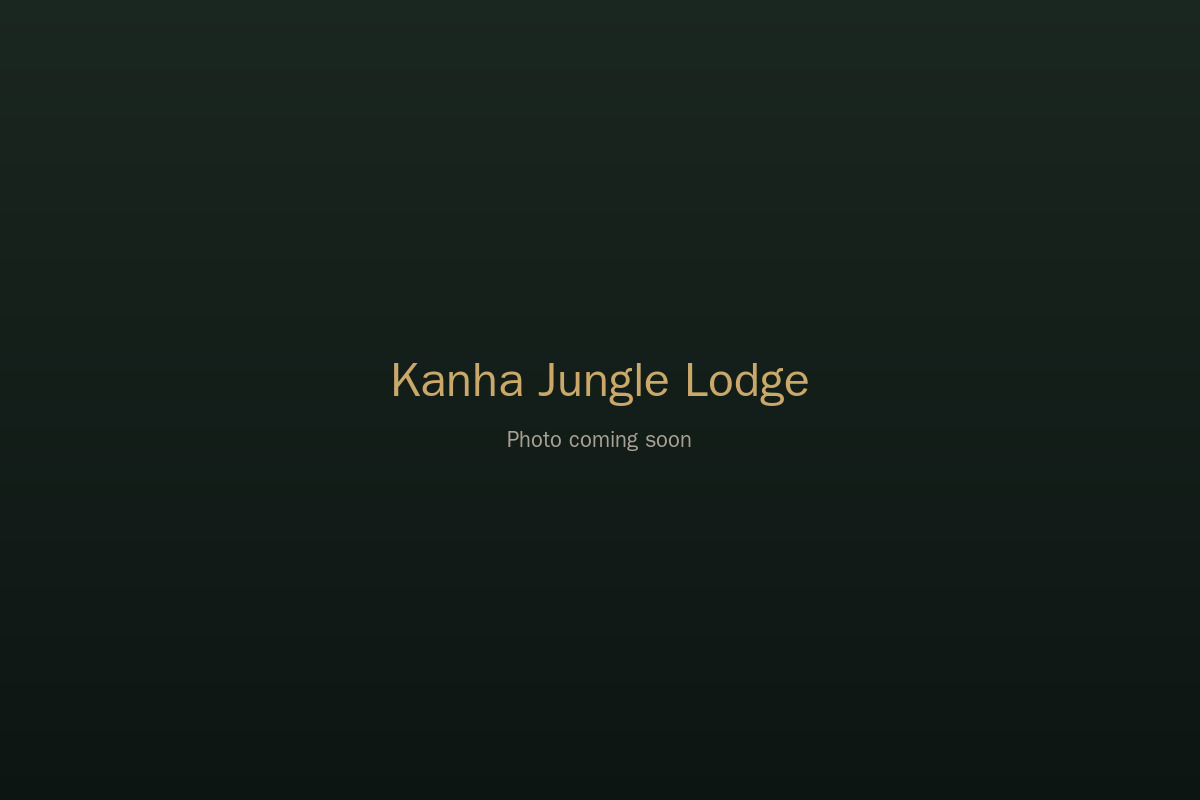 Forest lodge stay in Kanha